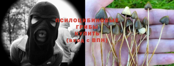 прущая мука Бородино