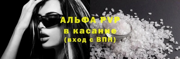 PSILOCYBIN Богданович