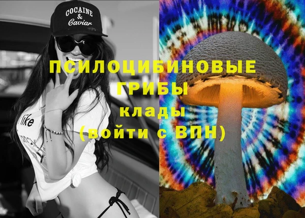стафф Богородск